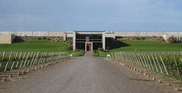 NQN winery in Neuquén