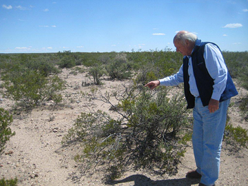 Guillermo Barzi in the desert
