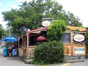 Lunch at Tree House Cafe in Ganges