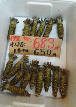 Fresh wasabi