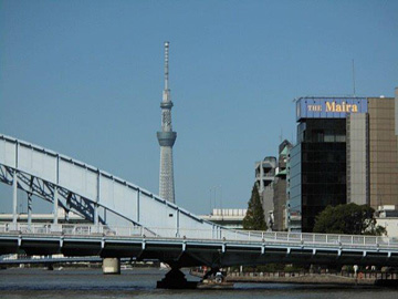 Tree of Life building