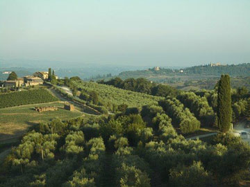 View from Sant'Alfonso's terrace